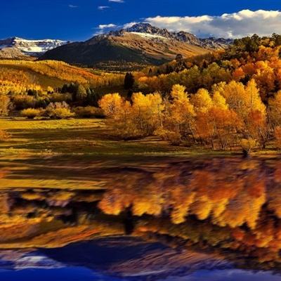 幸运彩票最新版app